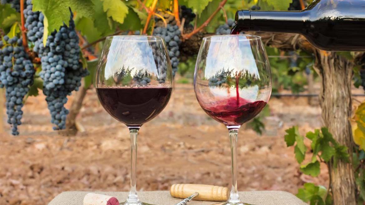 Vinhos biológicos e vinhos naturais continuam a marcar as tendências de consumo