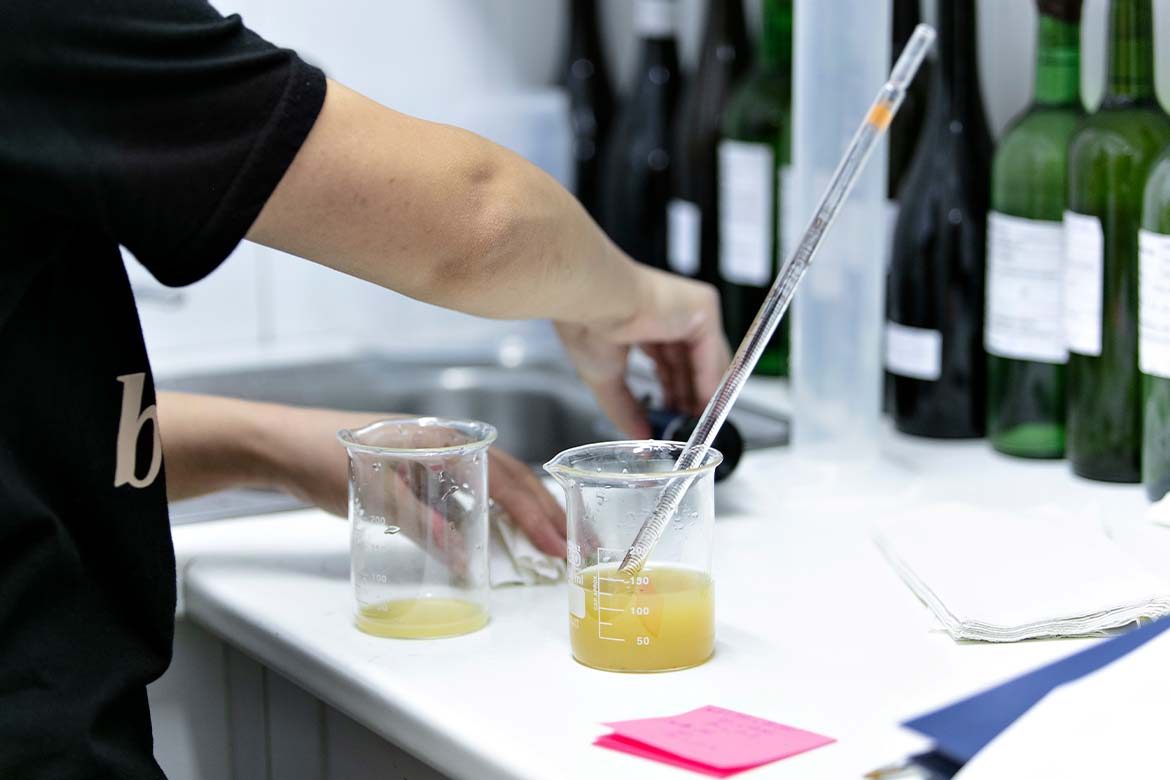 NÚCLEO DE INVESTIGAÇÃO & DESENVOLVIMENTO DESAFIARÁ POTENCIALIDADES DO TERROIR DA ORIGEM DO ALVARINHO