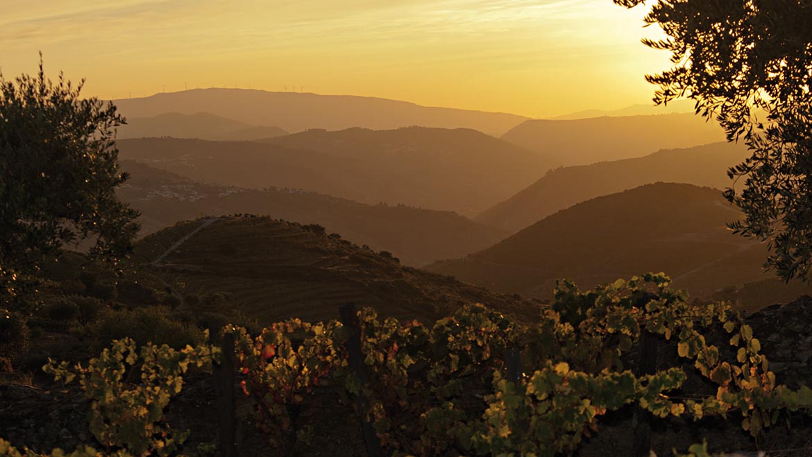 Chegou o Natal!  Do Alentejo ao Douro, descubra todas as ofertas especiais que preparámos para si!