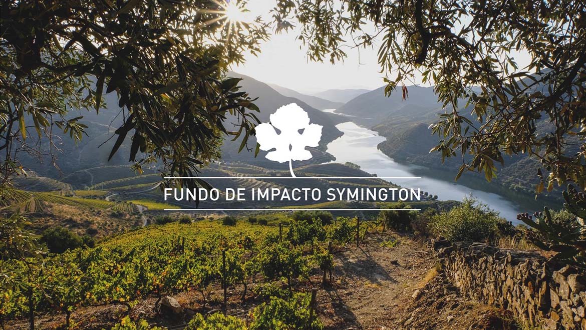 Symington cria Fundo de Impacto  no valor de 1 milhão de euros