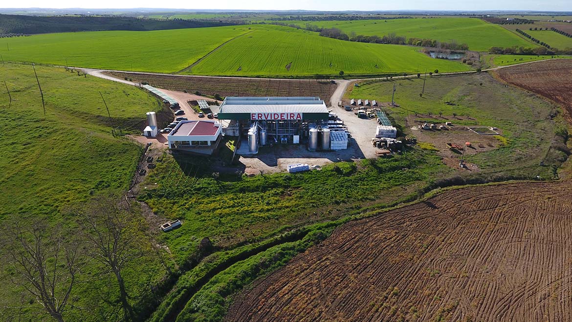 Ervideira fecha o ano com faturação superior a 2,5 milhões de euros