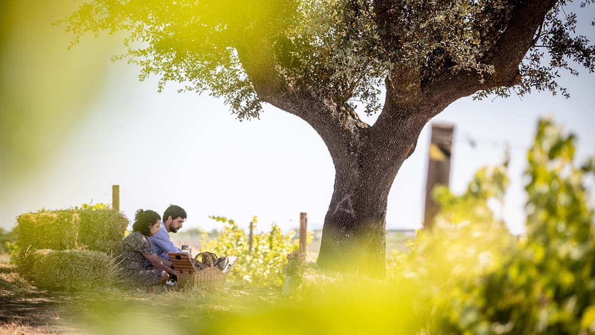ADEGA MAYOR VOLTA A ABRIR OS SENTIDOS ÀS EXPERIÊNCIAS DE ENOTURISMO