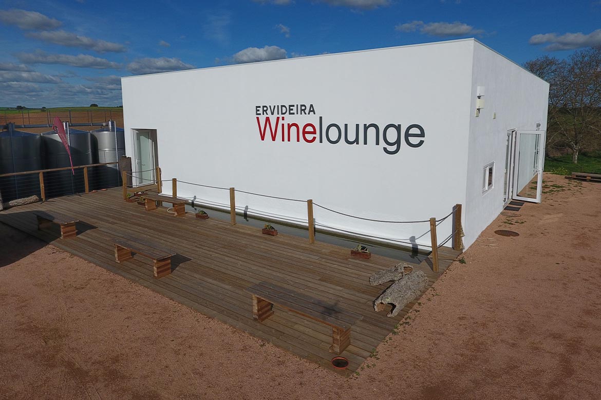 Início de 2022 é o melhor de sempre na história da Ervideira