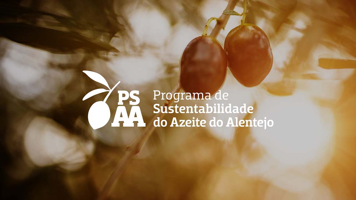 Programa de Sustentabilidade do Azeite do Alentejo perto de concluir referencial de sustentabilidade, pioneiro a nível internacional