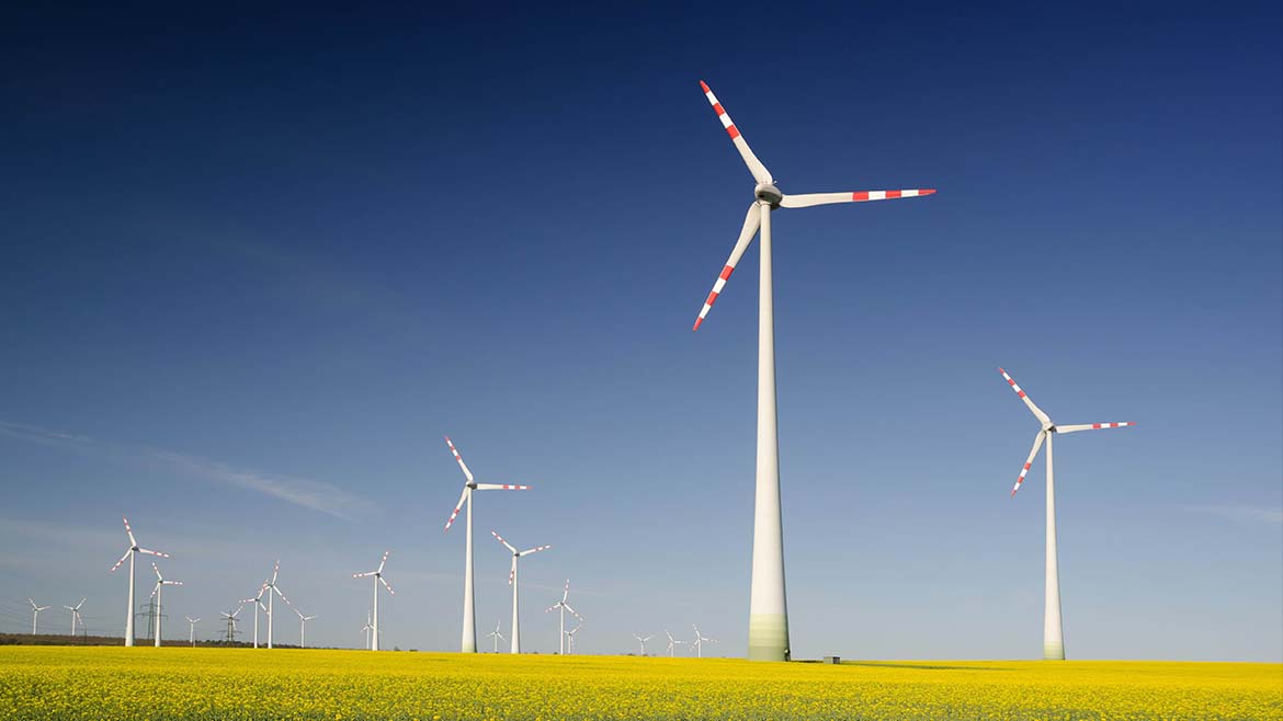 91% das empresas nacionais não tem o talento necessário para concretizar a sua estratégia de ESG