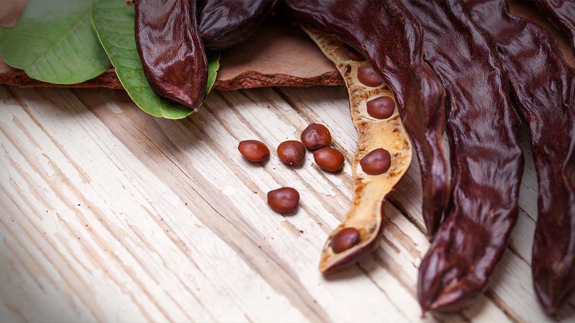 Projeto português desenvolve novos produtos alimentares totalmente à base de alfarroba