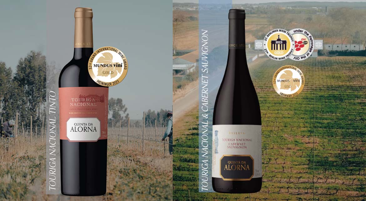 Vinhos Quinta da Alorna premiados com medalha de ouro em concursos internacionais