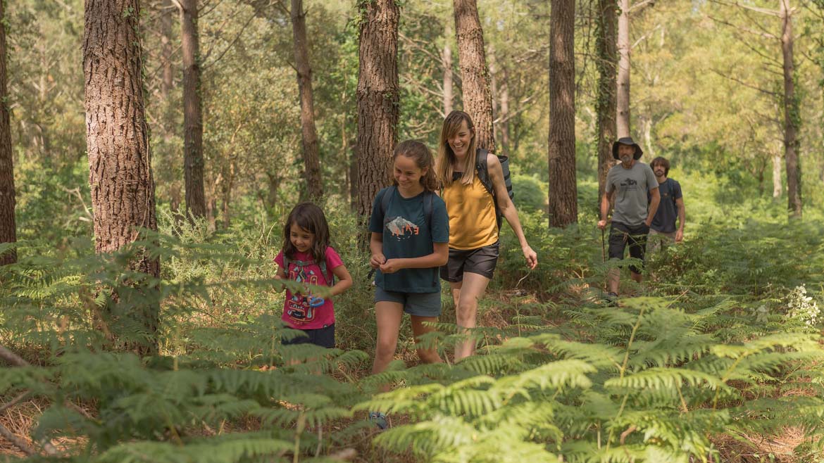 DECATHLON PROTEGE O CAMPO DE JOGO ATRAVÉS DE PLOGGING