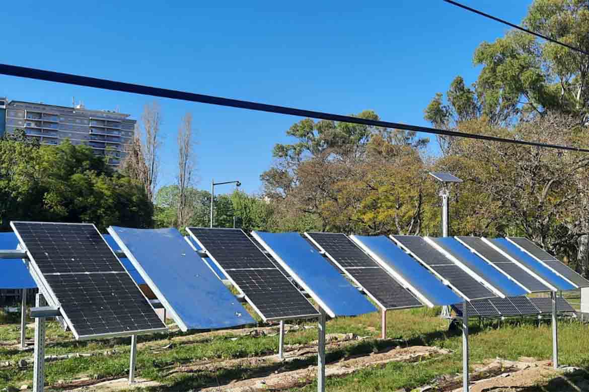 Image4All desenvolve projeto “agrovoltaico” em horta urbana da FCUL