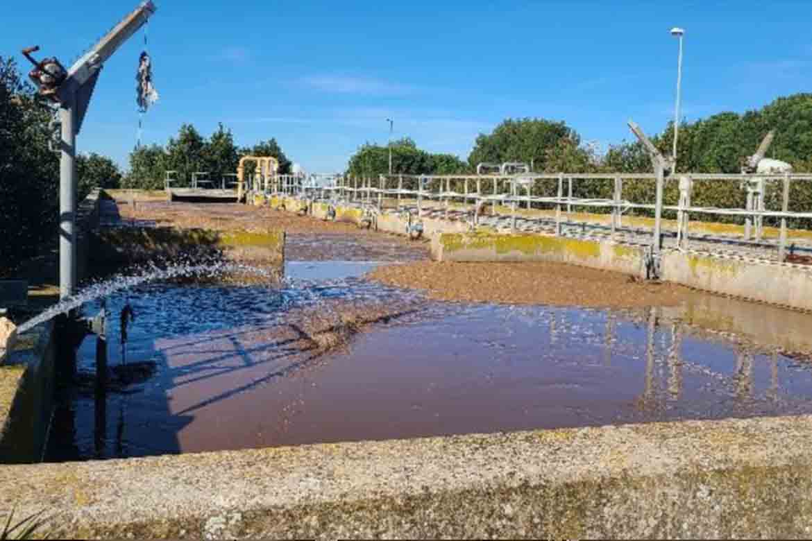 Projeto cria primeira quinta na Europa que utiliza águas residuais para a criação de peixe e vegetais