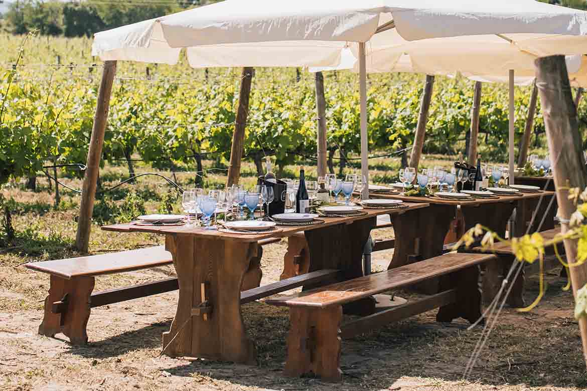 Quinta da Alorna refresca o Verão com quatro Vinhos do Tejo
