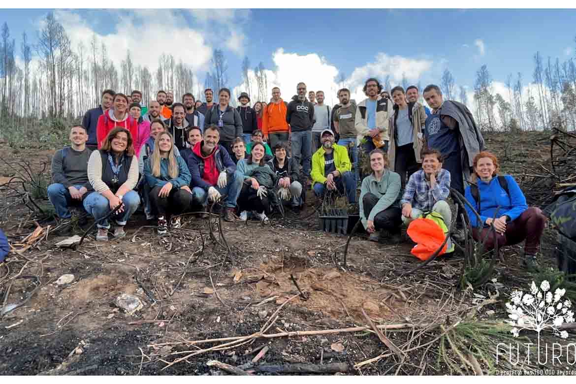 Empresa Critical TechWorks e floresta nativa: qual a relação?