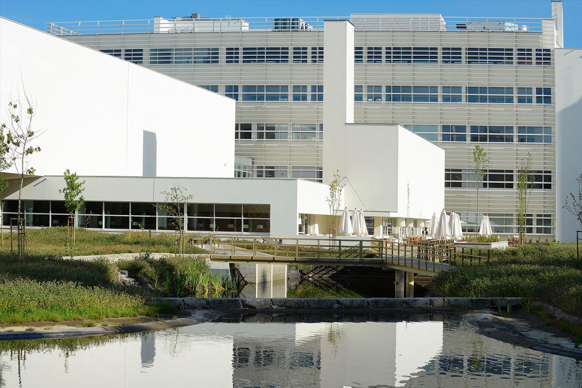 Porto Business School reforça Marketing Management com IA